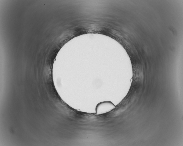 X0000111350523200908211237