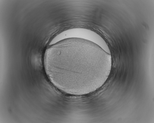 X0000111350524200908211237