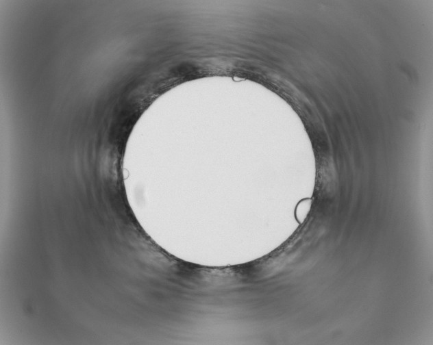 X0000111350525200908211237