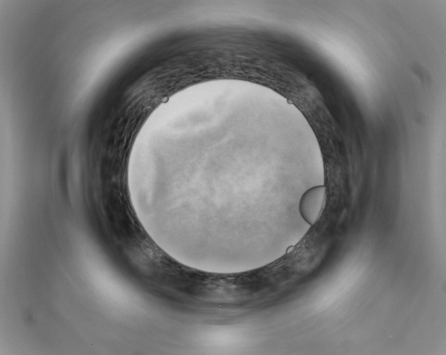X0000111350526200908211237