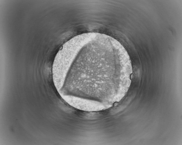 X0000111350527200908211237