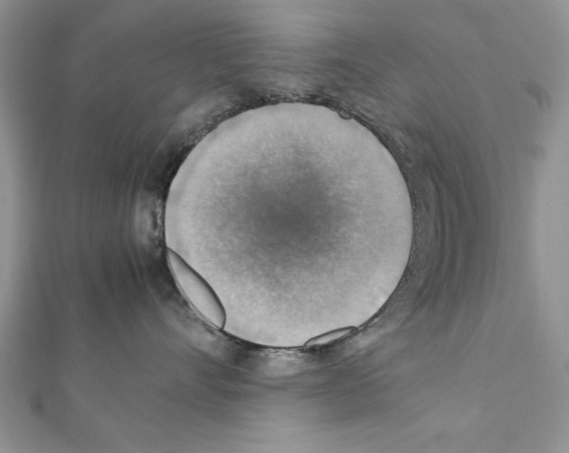 X0000111350528200908211237