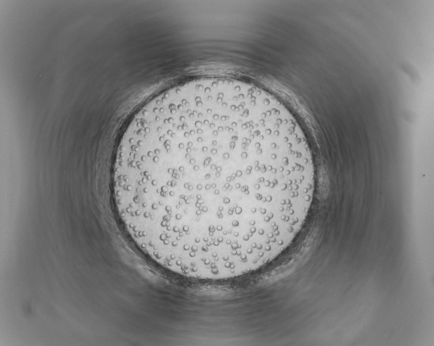 X0000111350529200908211236