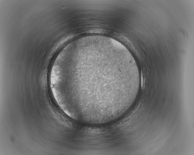 X0000111350531200908211236
