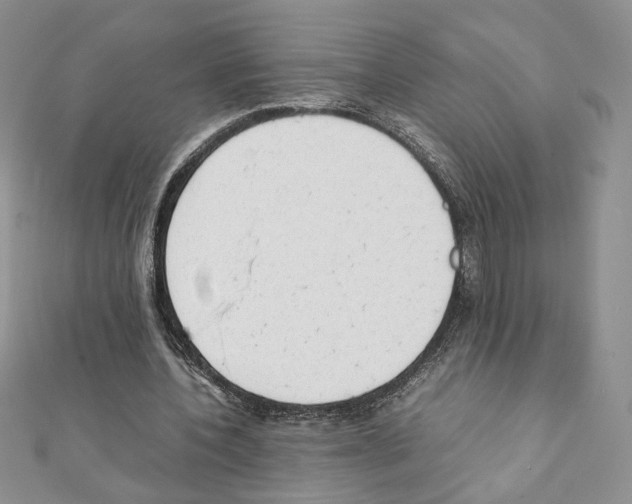 X0000111350532200908211236