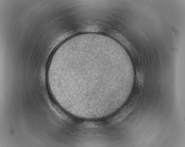X0000111350534200908211236