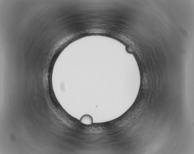 X0000111350535200908211236