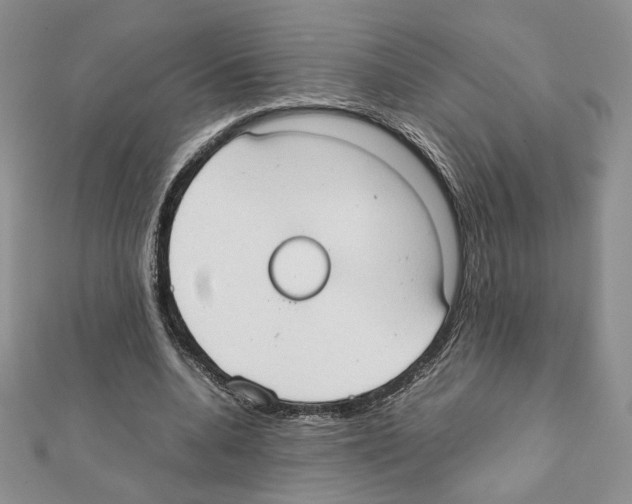 X0000111350536200908211236