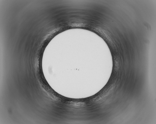 X0000111350539200908211236