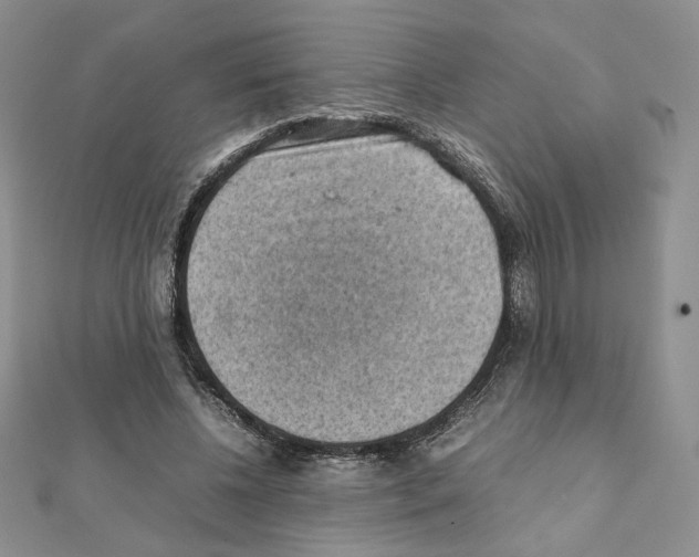X0000111350540200908211236