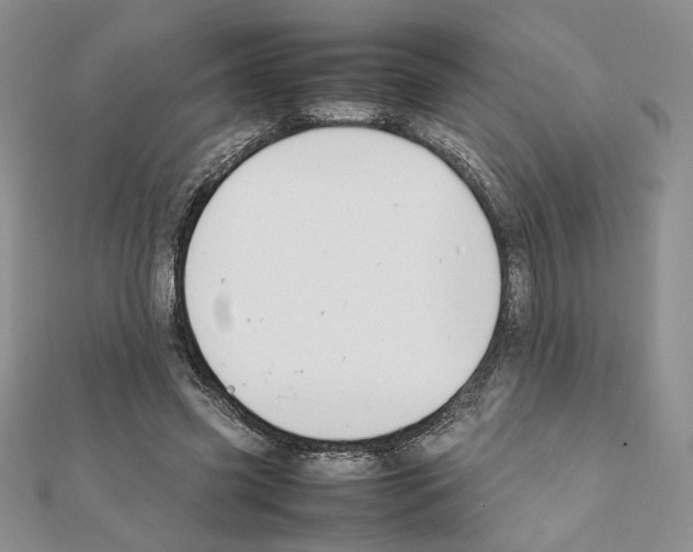 X0000111350541200908211236