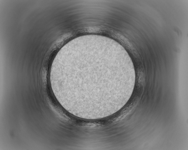 X0000111350542200908211236