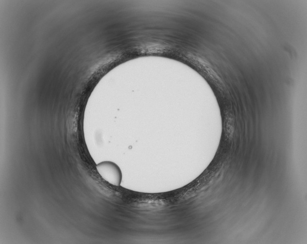 X0000111350543200908211236