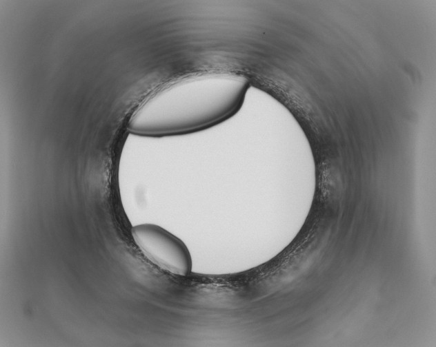 X0000111350544200908211236