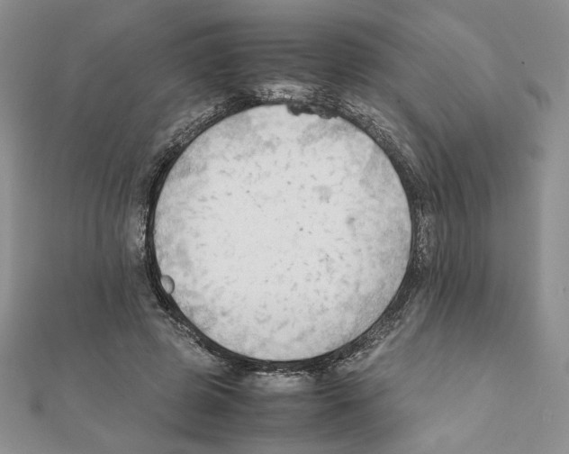 X0000111350545200908211236