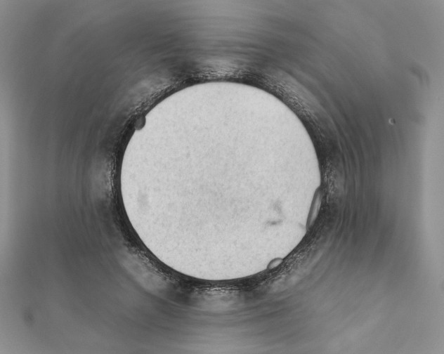 X0000111350546200908211236