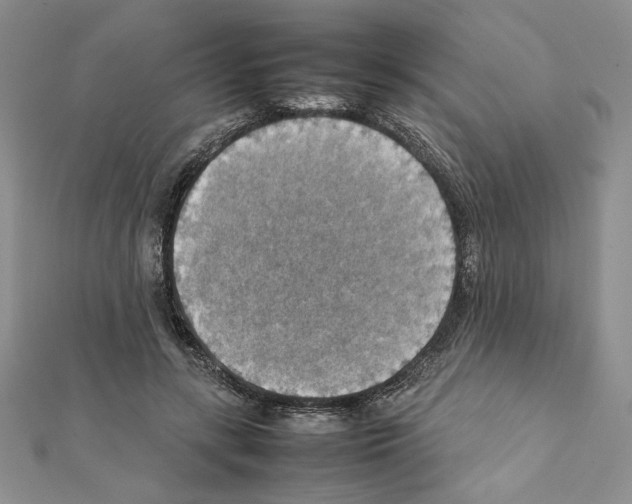 X0000111350547200908211236