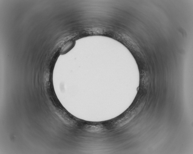 X0000111350548200908211236