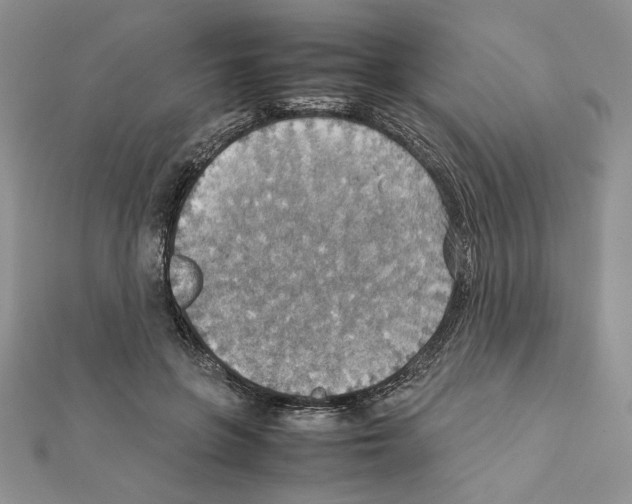 X0000111350551200908211236