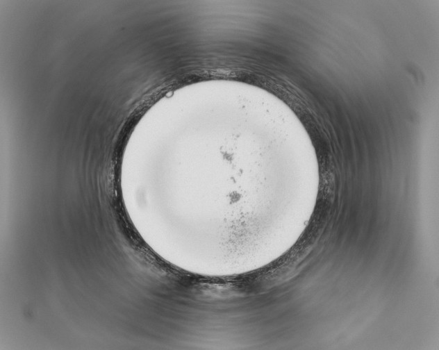 X0000111350552200908211236