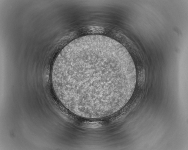 X0000111350553200908211236