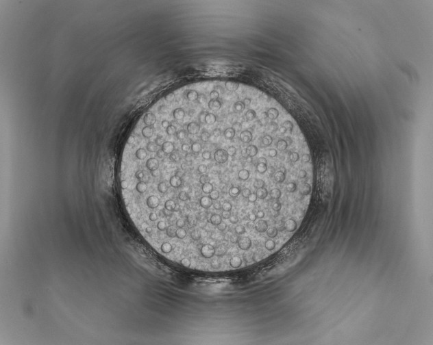 X0000111350554200908211237