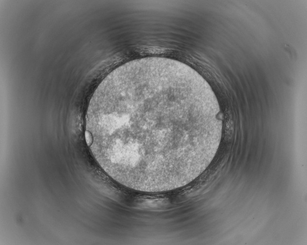 X0000111350555200908211237