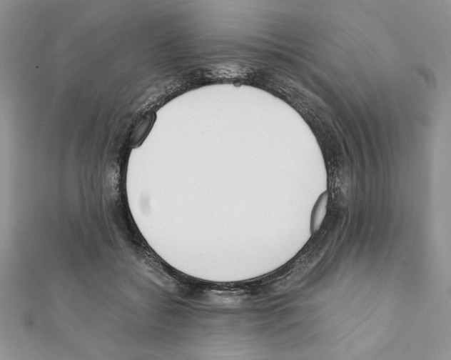 X0000111350556200908211237