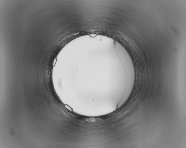 X0000111350558200908211237