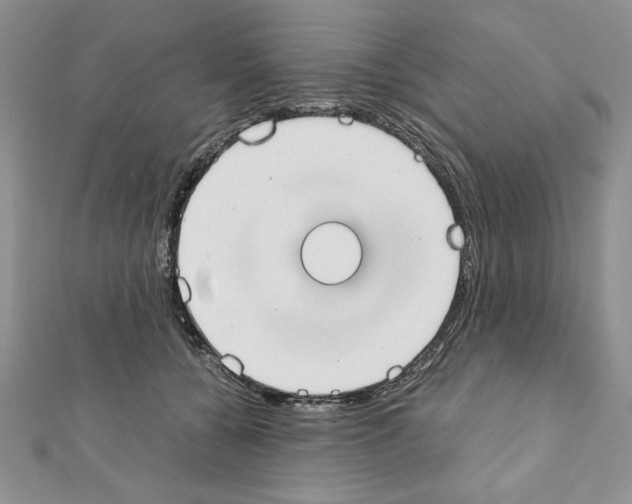 X0000111350560200908211237