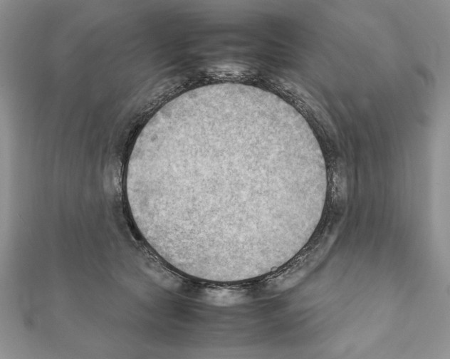 X0000111350561200908211237