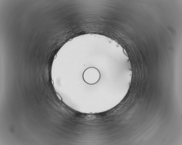X0000111350562200908211237