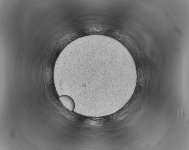 X0000111350563200908211237