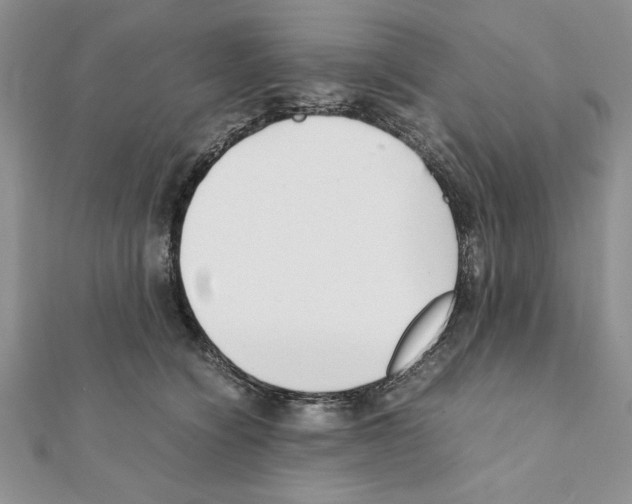 X0000111350564200908211237