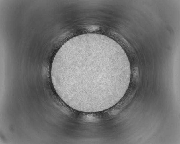 X0000111350565200908211237