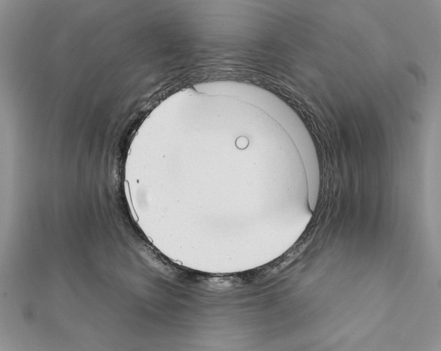 X0000111350566200908211237