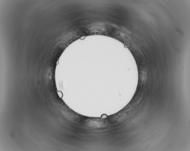 X0000111350567200908211237