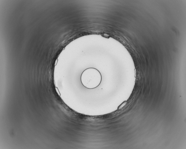X0000111350568200908211237