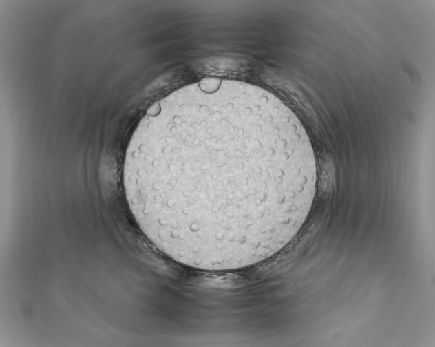 X0000111350569200908211237