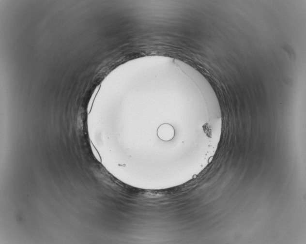 X0000111350570200908211237