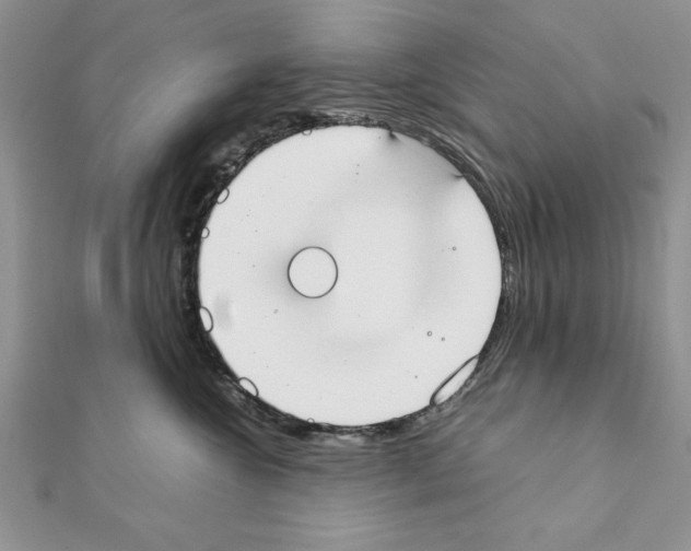 X0000111350572200908211237