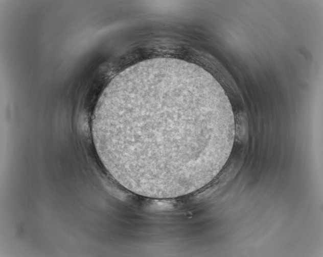X0000111350573200908211237