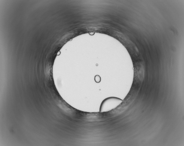 X0000111350574200908211237