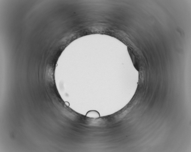 X0000111350575200908211237