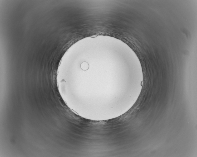 X0000111350576200908211237