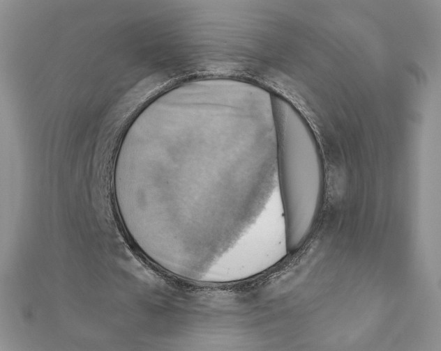 X0000111350577200908211236