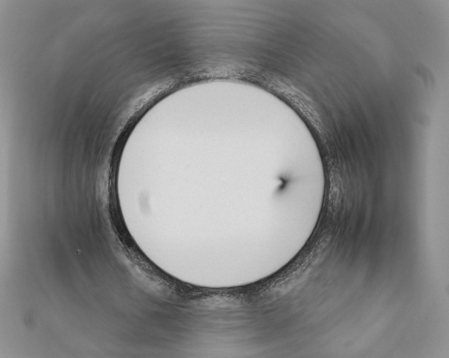 X0000111350578200908211236