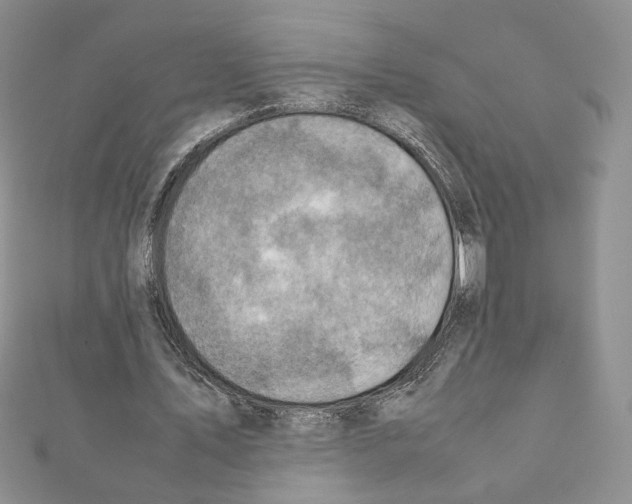 X0000111350579200908211236