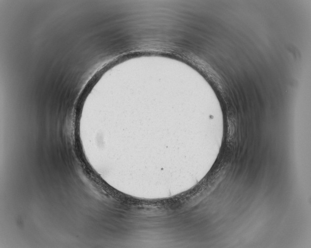 X0000111350580200908211236