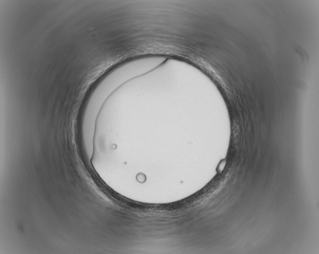X0000111350581200908211236